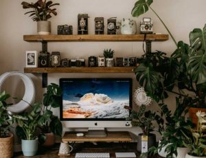 Desk with computer surrounded by house plants