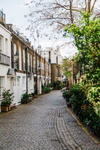 Trees along a cobbled street