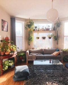 Room with lots of house plants